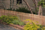 CedarPicketFence.jpg